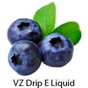 VZ Max-VG Blueberry E-Liquid